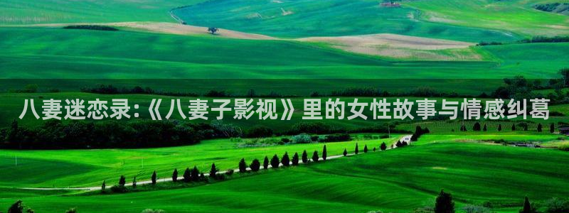 九七影院97影院：八妻迷恋录:《八妻子影视》里的女性故事与情感纠葛
