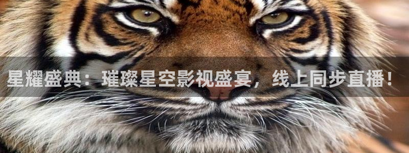 九七电影版在线播放：星耀盛典：璀璨星空影视盛宴，线上同步直播！