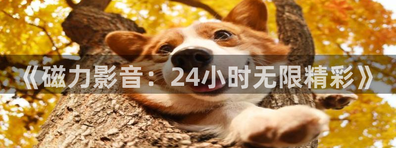 九七电影院手机版全部播放：《磁力影音：24小时无限精彩》