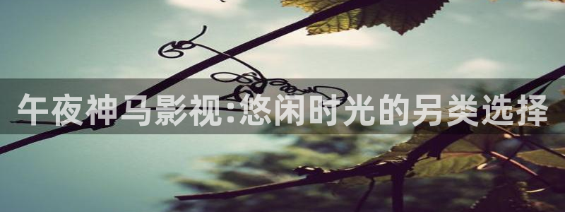 九七电影院97理论片免费观看韩国：午夜神马影视:悠闲时光的另类选择