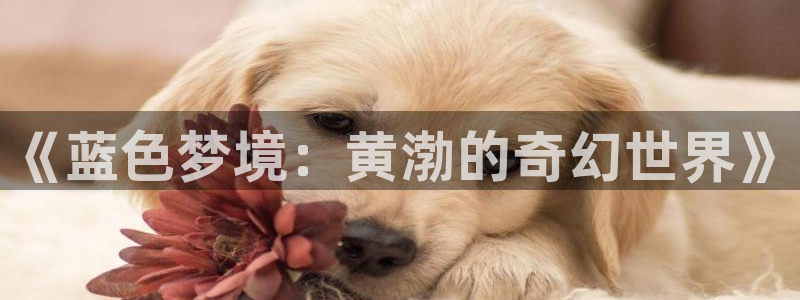 九七影院97理论片：《蓝色梦境：黄渤的奇幻世界》